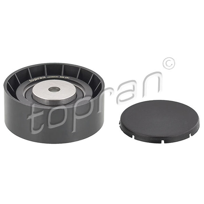 BMW Idler Pulley Main & Climate Compressor E34 E39 E32 E38 E31 M60 TOPRAN 11281731220