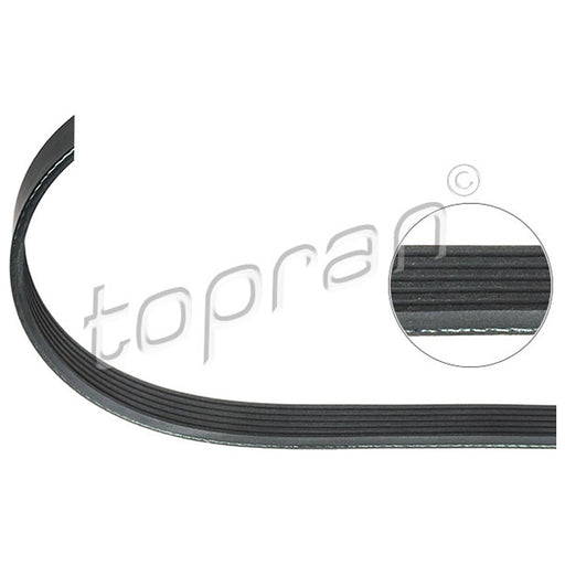 BMW Ribbed V-Belt 6PK1733 Water Pump/Alternator E36 E46 Z3 M43 M44 TOPRAN 11281739816