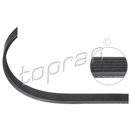 BMW Ribbed V-Belt 6PK1870 Climate Compressor N42 N46 N46N TOPRAN 11287532145