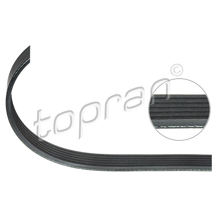 BMW Ribbed V-Belt 6PK1660 Water Pump/Alternator E36 M42 M43 TOPRAN 11281247986