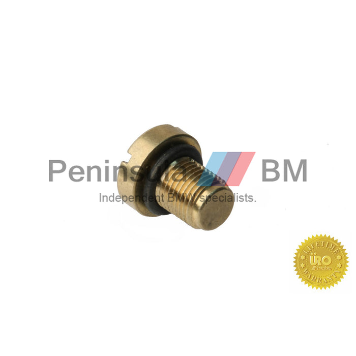 BMW Brass Vent Bleed Screw Radiator E87 E36 E46 E90 E38 E31 X1 X3 X5 Z4 URO 17111712788
