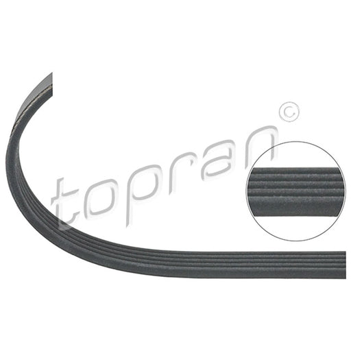BMW Ribbed V-Belt 5PK950 Climate Compressor M43 E46 TOPRAN 11281437874