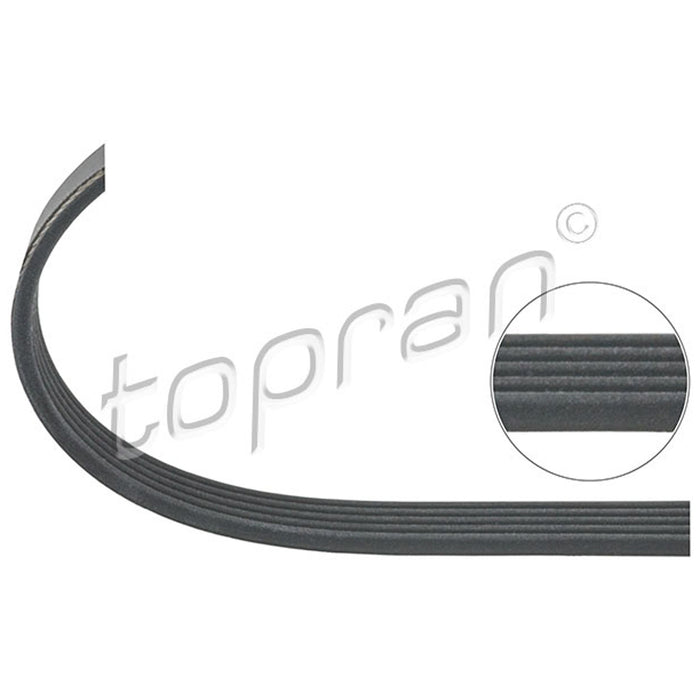 BMW Ribbed V-Belt 5PK950 Climate Compressor M43 E46 TOPRAN 11281437874
