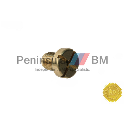 BMW Brass Vent Bleed Screw Radiator E87 E36 E46 E90 E38 E31 X1 X3 X5 Z4 URO 17111712788