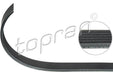 BMW Ribbed V-Belt 6PK1555 Water Pump/Alternator E36 E34 E39 M50 M52 11281703561