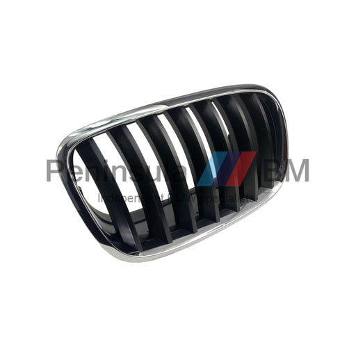 BMW Grille Right X5 E70 X6 E71 Genuine 51137157688