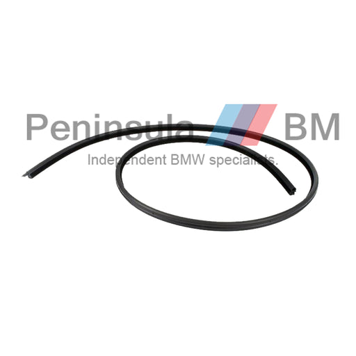 BMW Door Seal Rear X1 E84 Genuine 51722993436